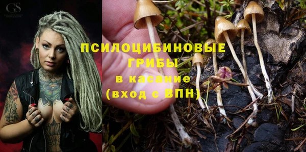 ГАЛЛЮЦИНОГЕННЫЕ ГРИБЫ Горнозаводск
