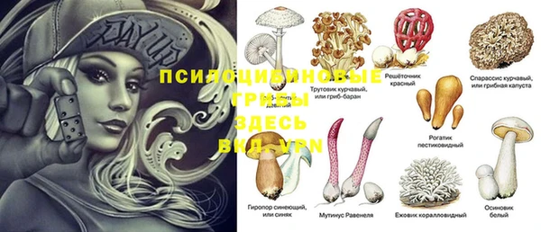 хмурый Горняк